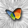The MSN butterfly logo against a grey background.